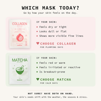 Matcha & Collagen Modelling Mask Mix Bundle